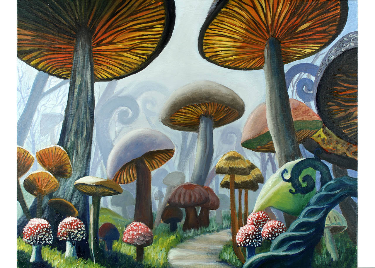 3db3ce488a0264161097_sompixgallerykarinaartmushrooms.jpg