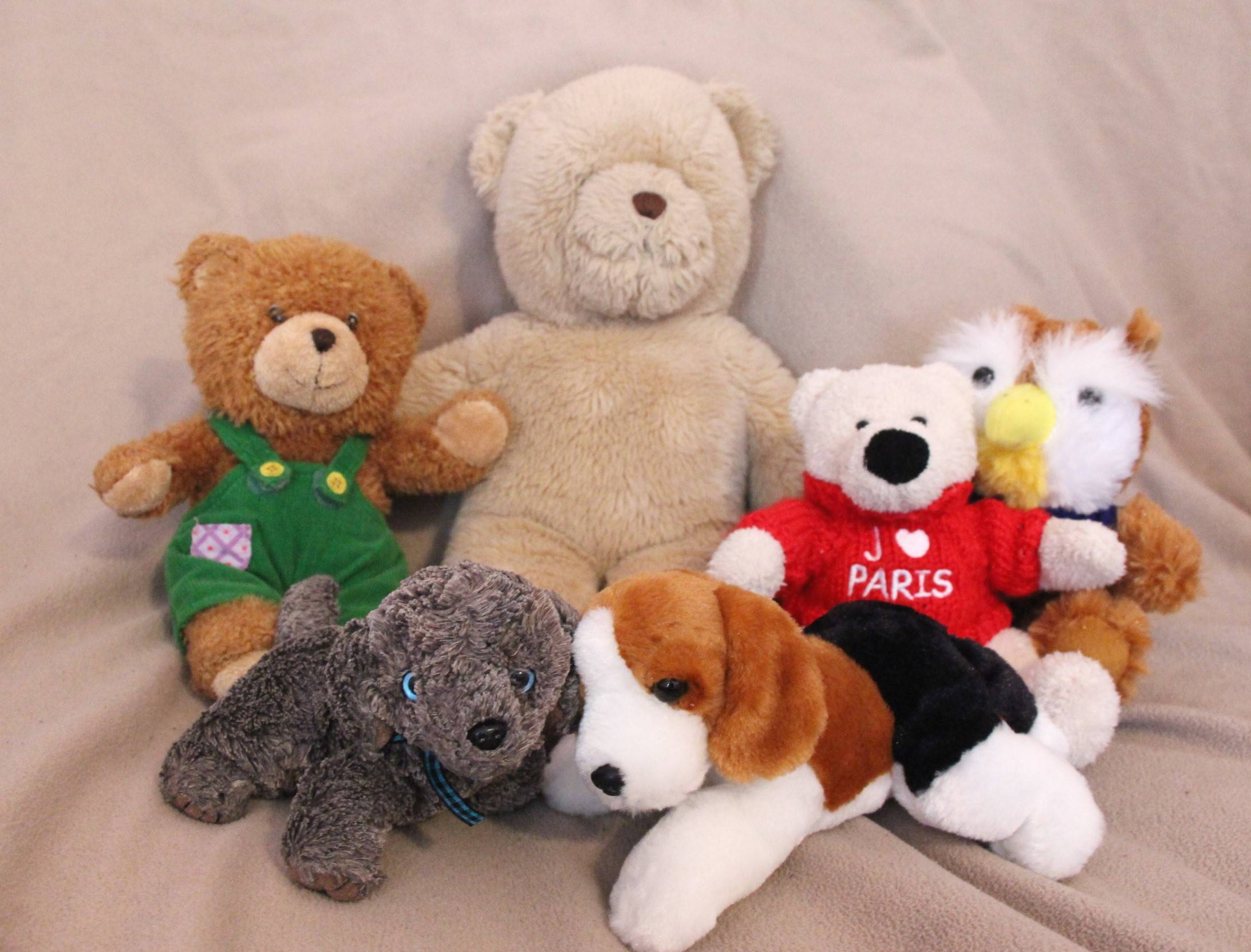 3f06d13f3380ca1f6415_EDIT_teddy_bear_shot.jpg