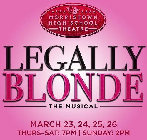 3fc336462b1916e42317_legallyblonde.jpg