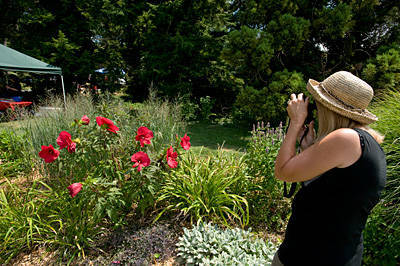 402ee016eae6817007d2_NR10RutgersGarden2237.jpg