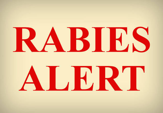 413b32fe724a624229af_Rabies_Alert.jpg
