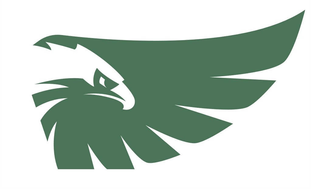 416b8ade1c0c7a78a235_St._Joe_s_Falcon_logo.jpg
