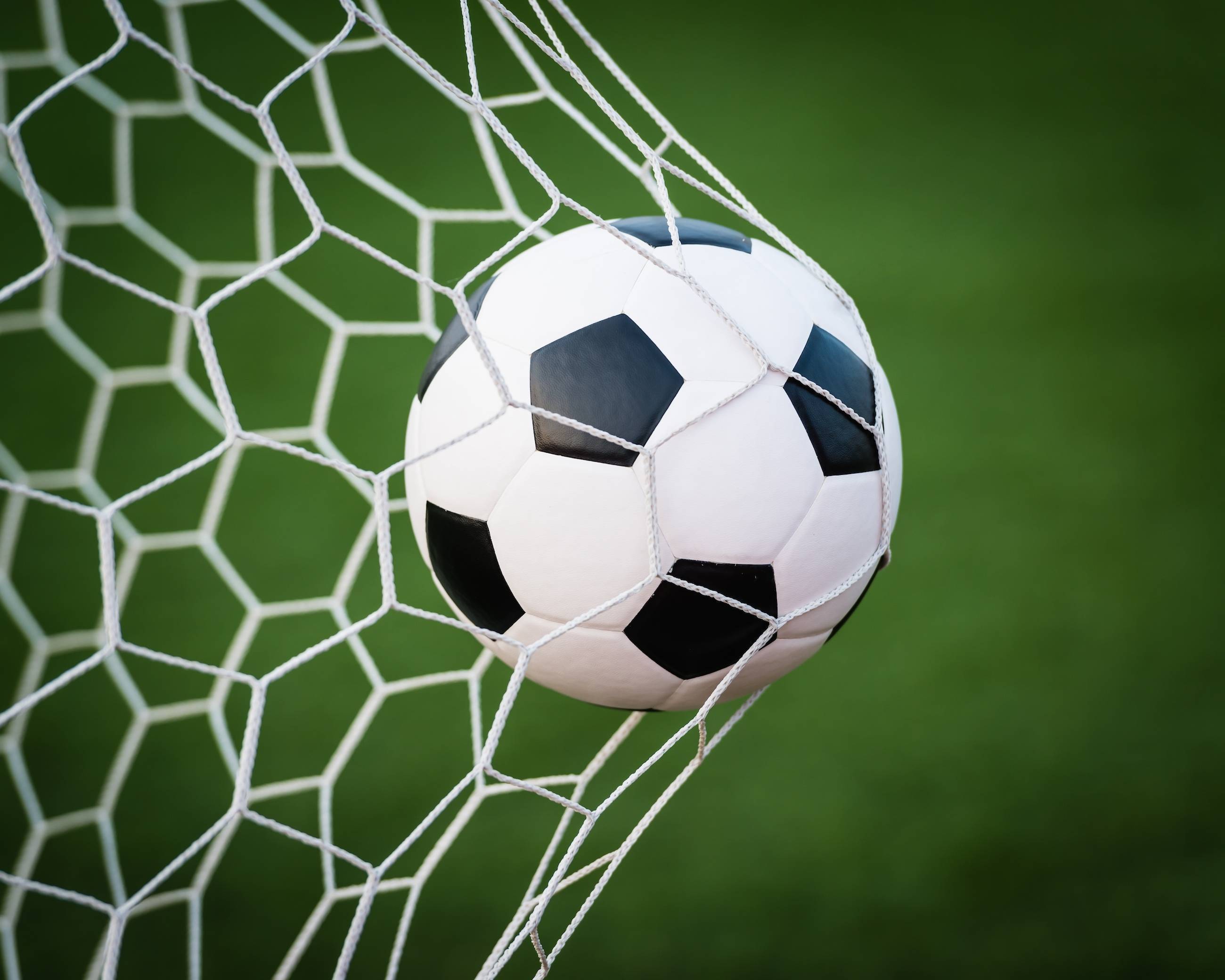 4231d45ae9fcaf90a77e_mini_magick20170907-20232-1szn5i7.jpg
