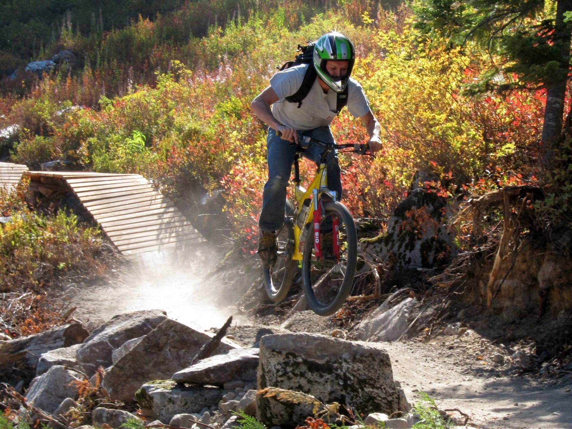 454c14ccc84eed1332be_fdcd0c34cb052545c116_mountain-biking-1744418.jpg