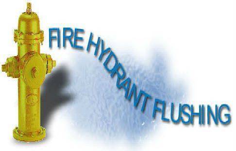458e5c3ccd9b6f41d648_flushing.jpg