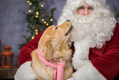 46ed19159dcfbf8b8031_6766beec83de951c4a2b_Aggie_with_Santa.jpg