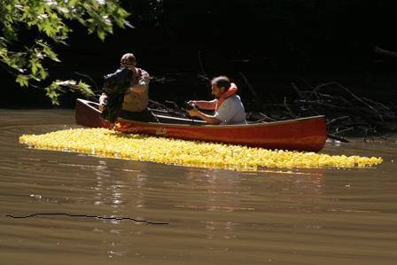 4724c299cd0c84f65da0_Ducky_Drop.jpg