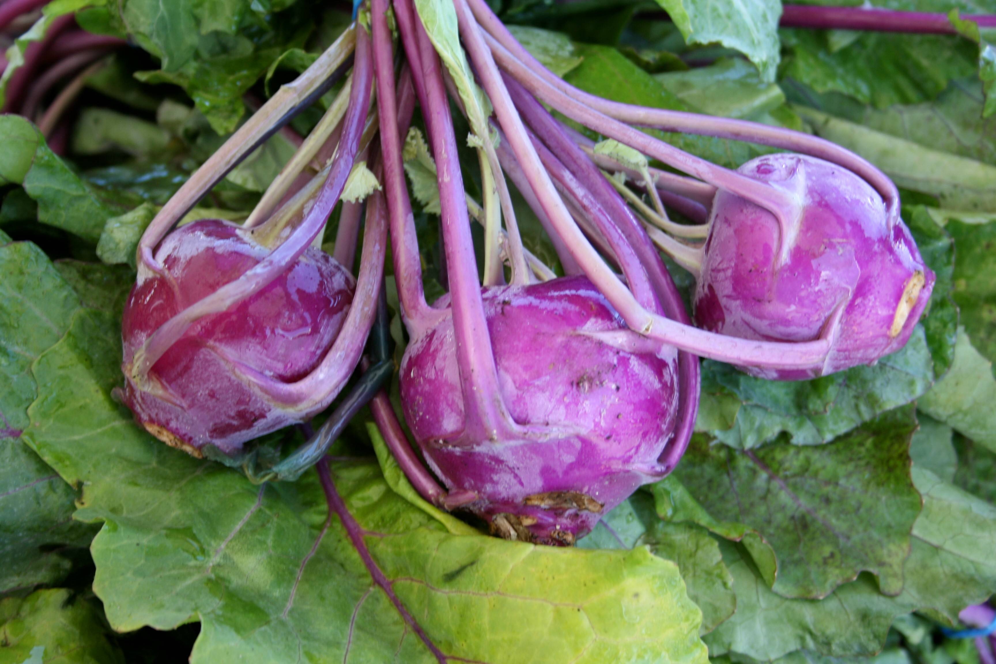 4855358cd53f1748a059_Kohlrabi.jpg