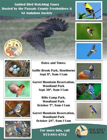 48fbd1fd12b835487e9e_Bird_Watching_Flyer_thumb.jpg