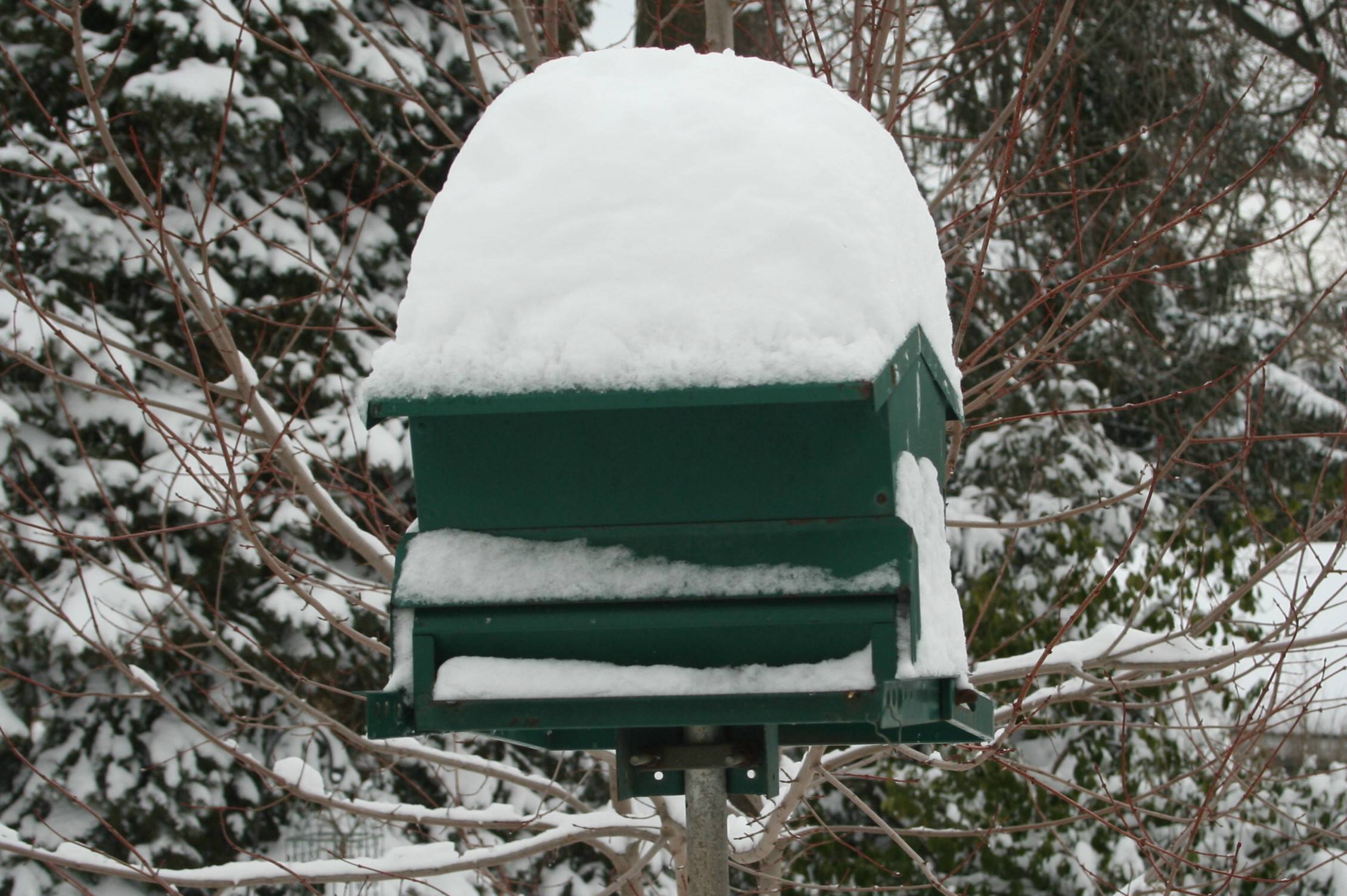 4b6ee0551b792d4d3e6f_My_Steel_Bird_Feeder_from__Duncraft.jpg