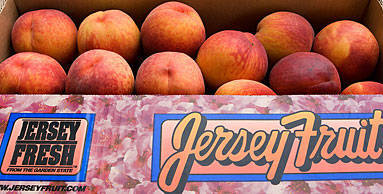 4b9cb703053f92a5e15c_peaches.jpg