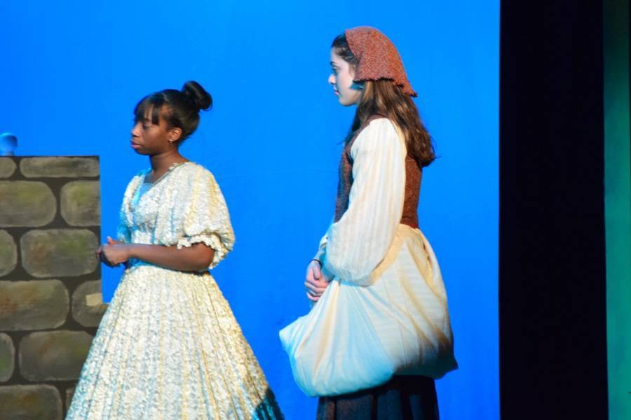 4caf3b85a79e934bb495_Cinderella9.jpg