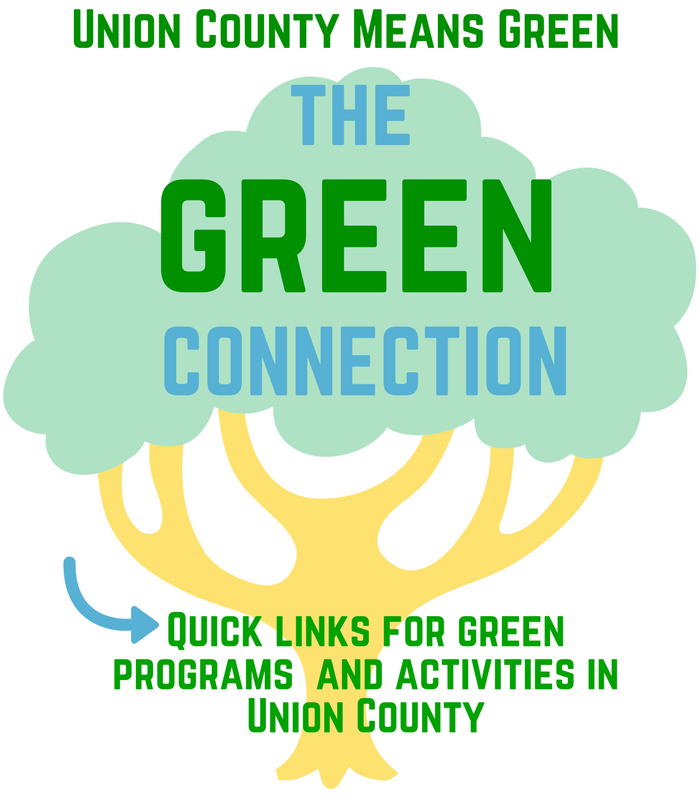 4e1574ad8ad1cbe16da3_Green_Connection_header_final.jpg