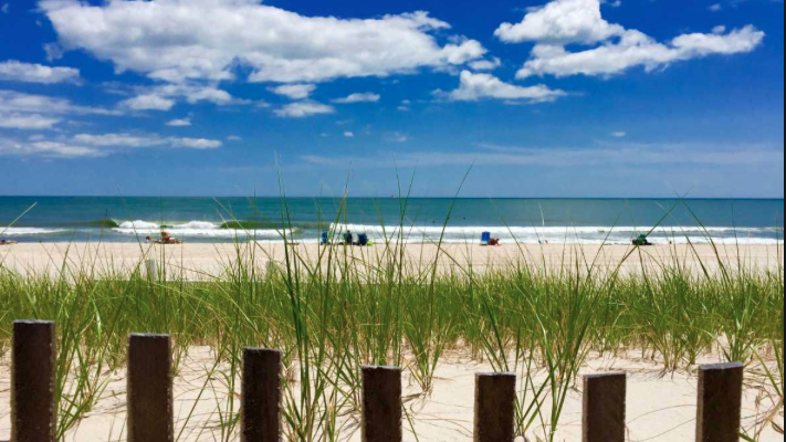 4e1d095d94f37592e302_island_beach_.jpg