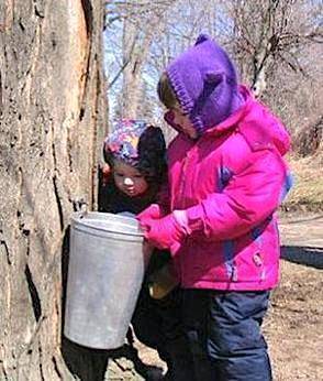 4e2d8b678e2c91032cb7_c31fab6816fad78640b8_girl_tapping_tree.jpg