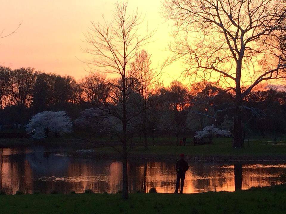 4eb29ffbf86eea036571_dba37ea3d4a5907c7c40_spring_cranford.jpg