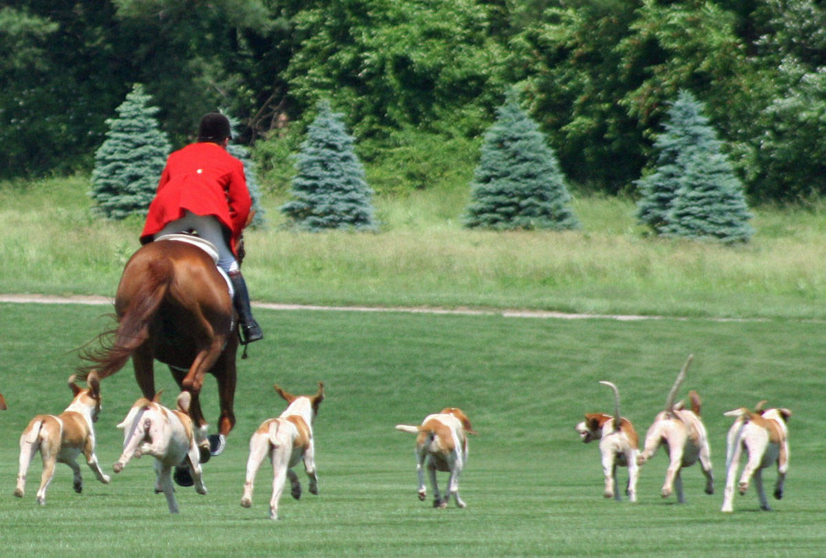 4f6c7bd9effb7ed9efcd_Foxhunting_demo.jpg