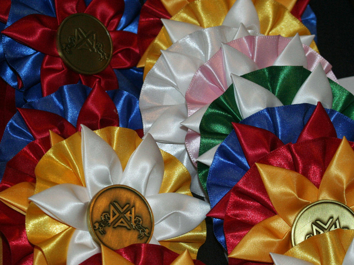 501792888438510e7593_dvha_awards_201832.jpg