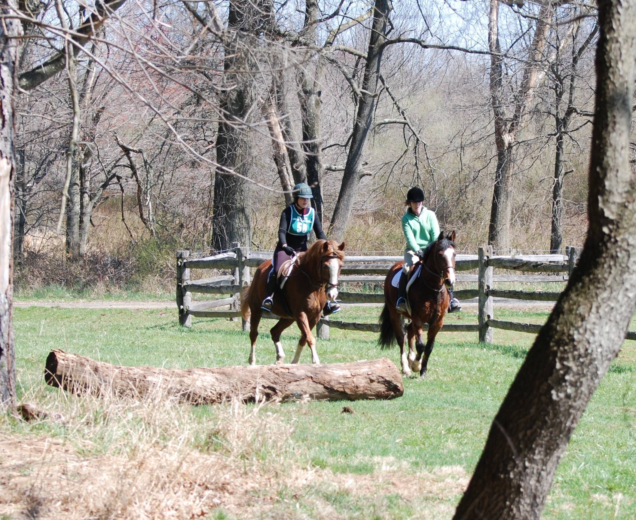 Hunter Pace Challenges Skills of Horses and Riders Sept. 11th News
