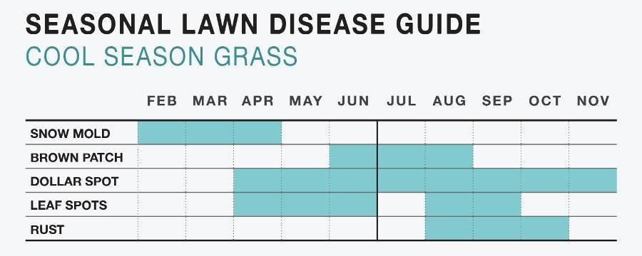 534f1d1b227aa45f1cd5_Lawn_Chart.jpg