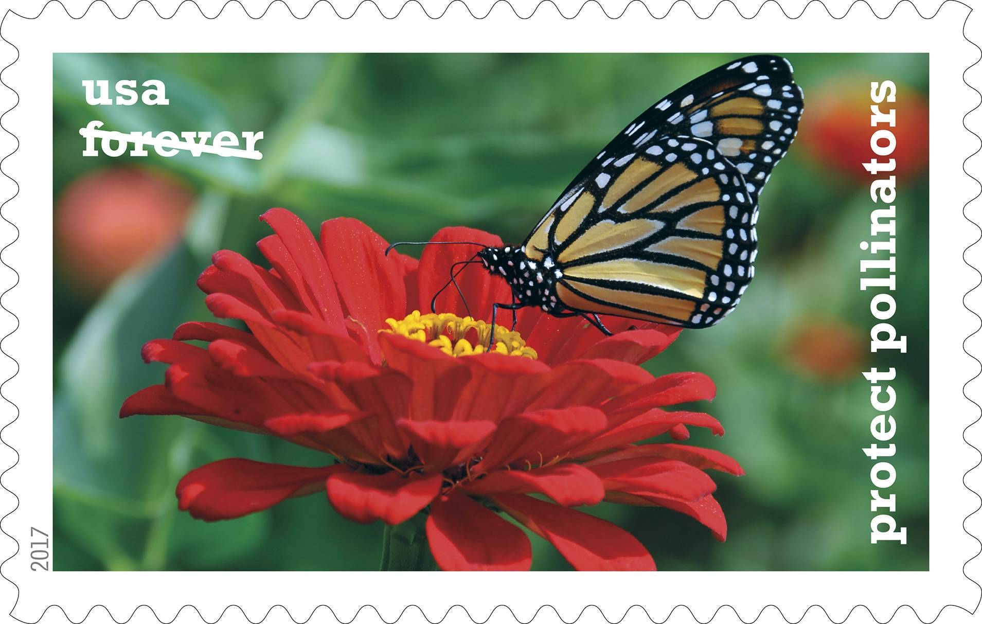 535d8fd9016c636ea29f_2-0_USPS17STA021c.jpg
