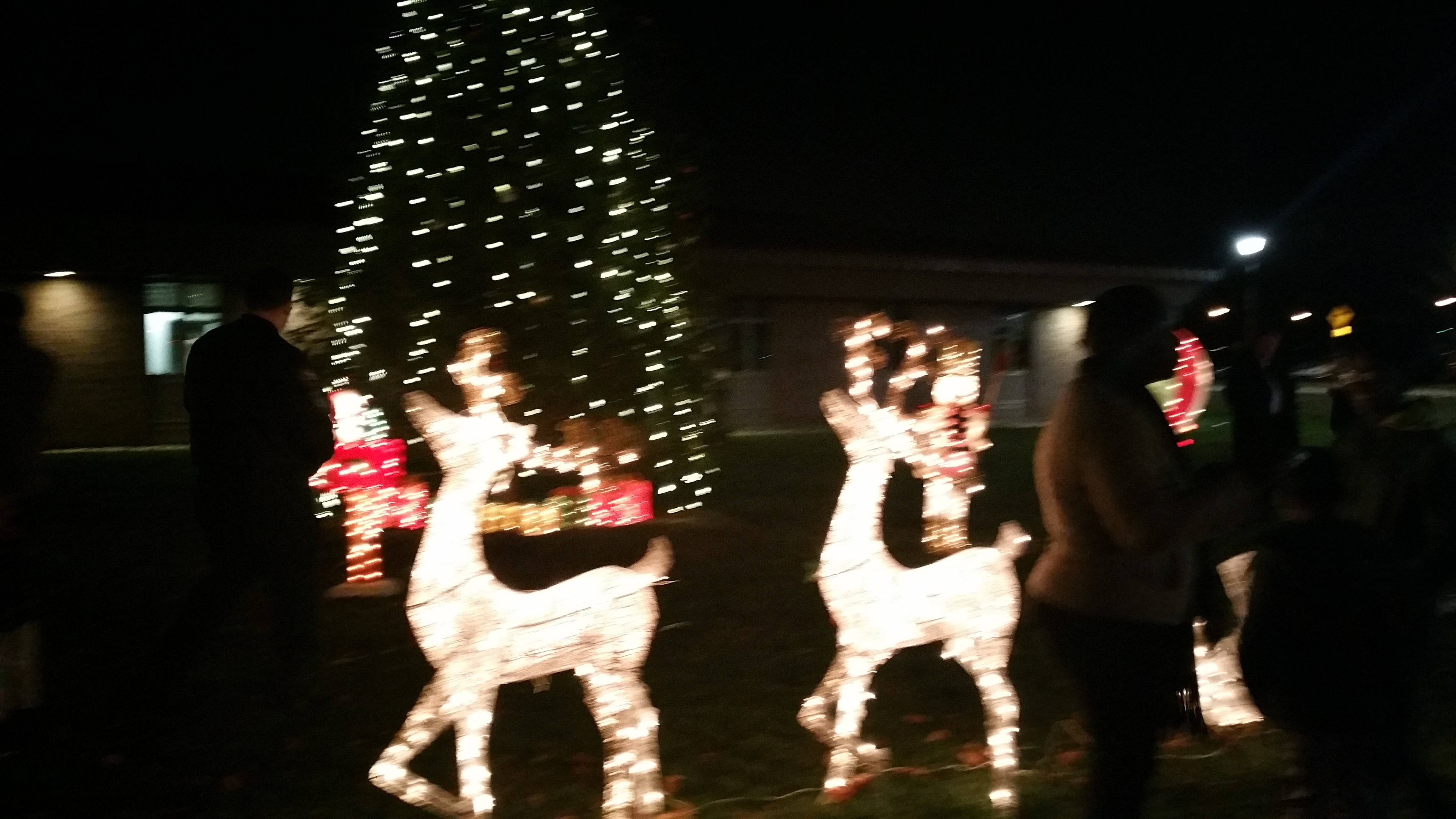 5417c275e63110c98a41_Piscataway_Christmas_Lights.jpg