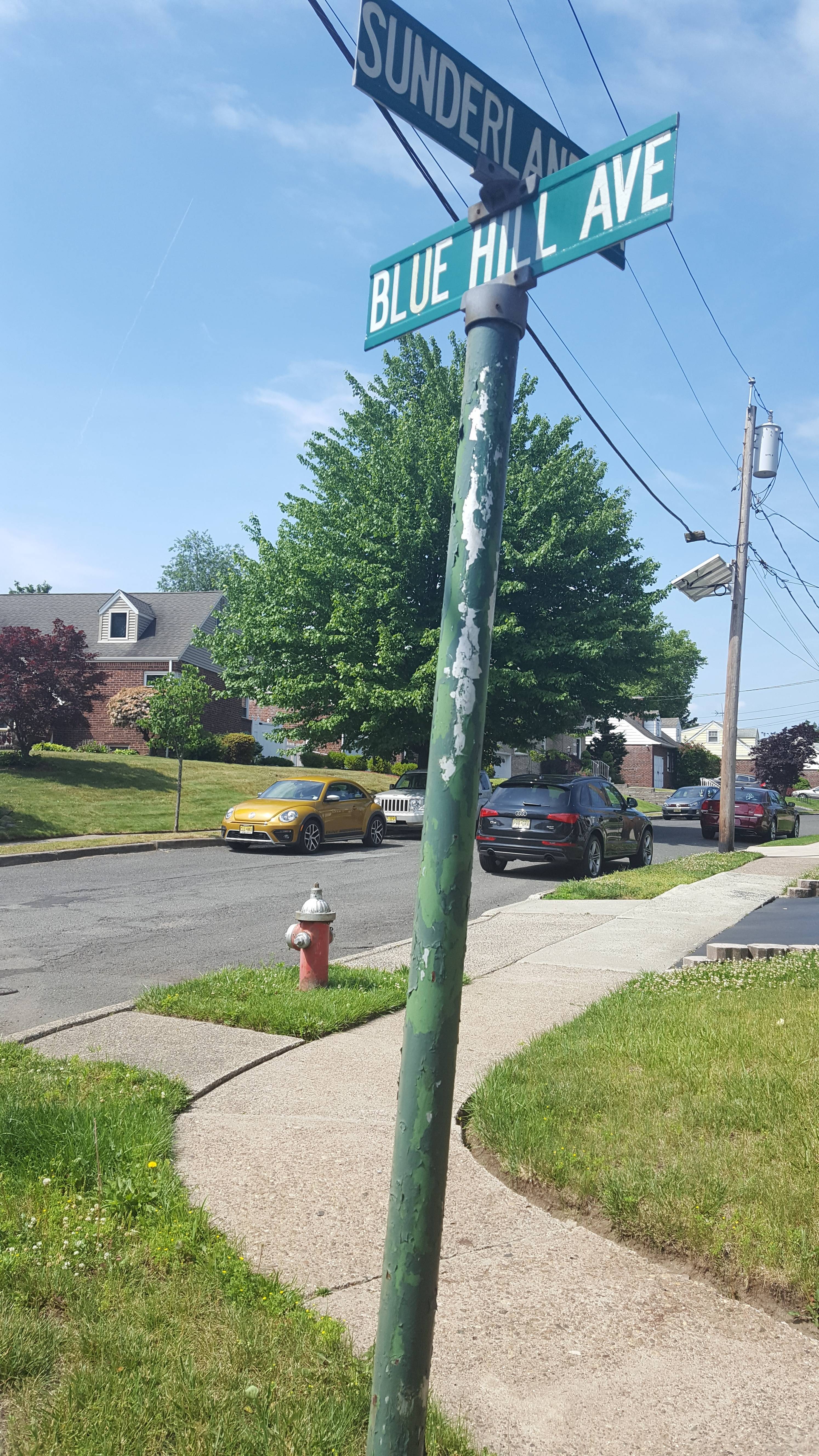 548570d6b9e5dbf03ed9_JD_street_parking.jpg