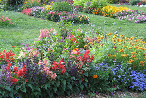 54dca4678b2c55f9683c_Plainfield_-_AIC_-_Harmonious_Gardening_photo_-_displaygarden.jpg