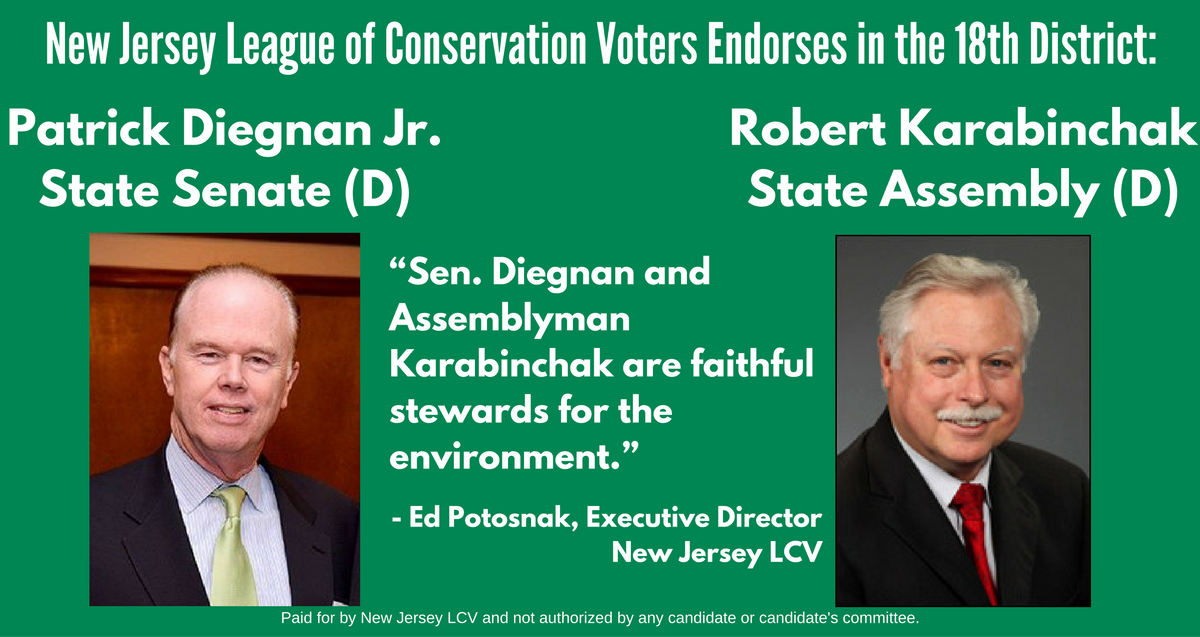 5574c0e654790e0e5b89_18th_district_graphic.jpg