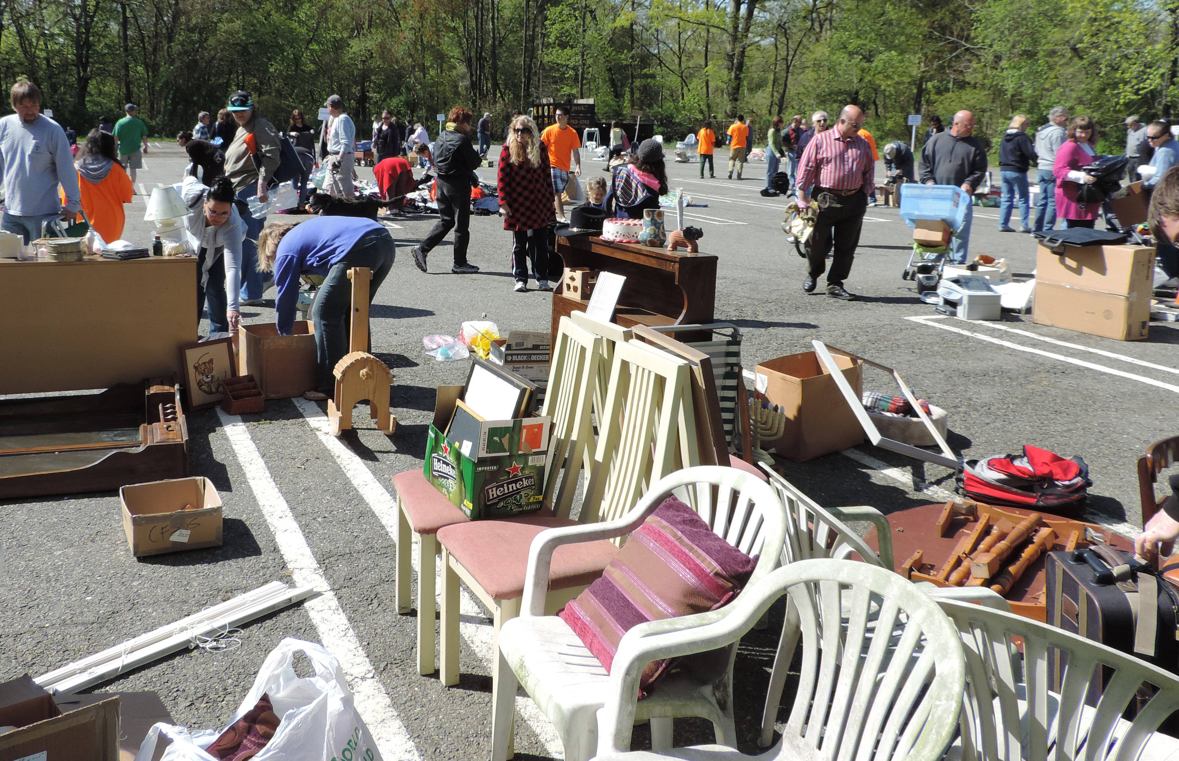 5595e544f092a39503bb_Freecycling_edited-1.jpg