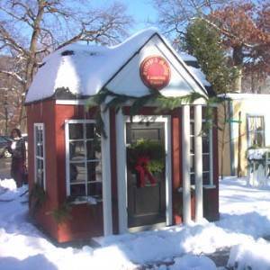 56d841096c33cfd10340_dickens_village.jpg