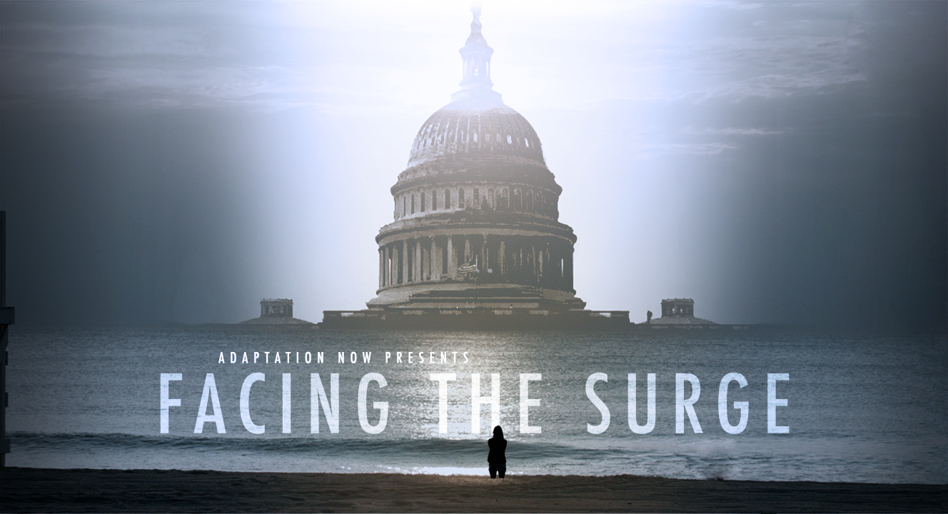 594843828c490da72205_Facing_the_Surge_thumbnail_Small.jpg