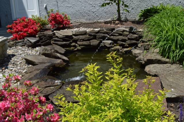 5a59f2bc7f80d956b8da_Georgian_Pond_Garden_2018.jpg