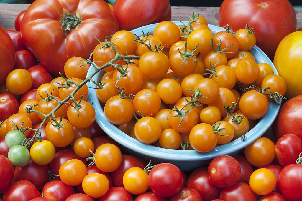 5acbef635b7df6596332_Bonnie_Plants_tomato_beauty_shot_horiz_red2_300dpi.jpg