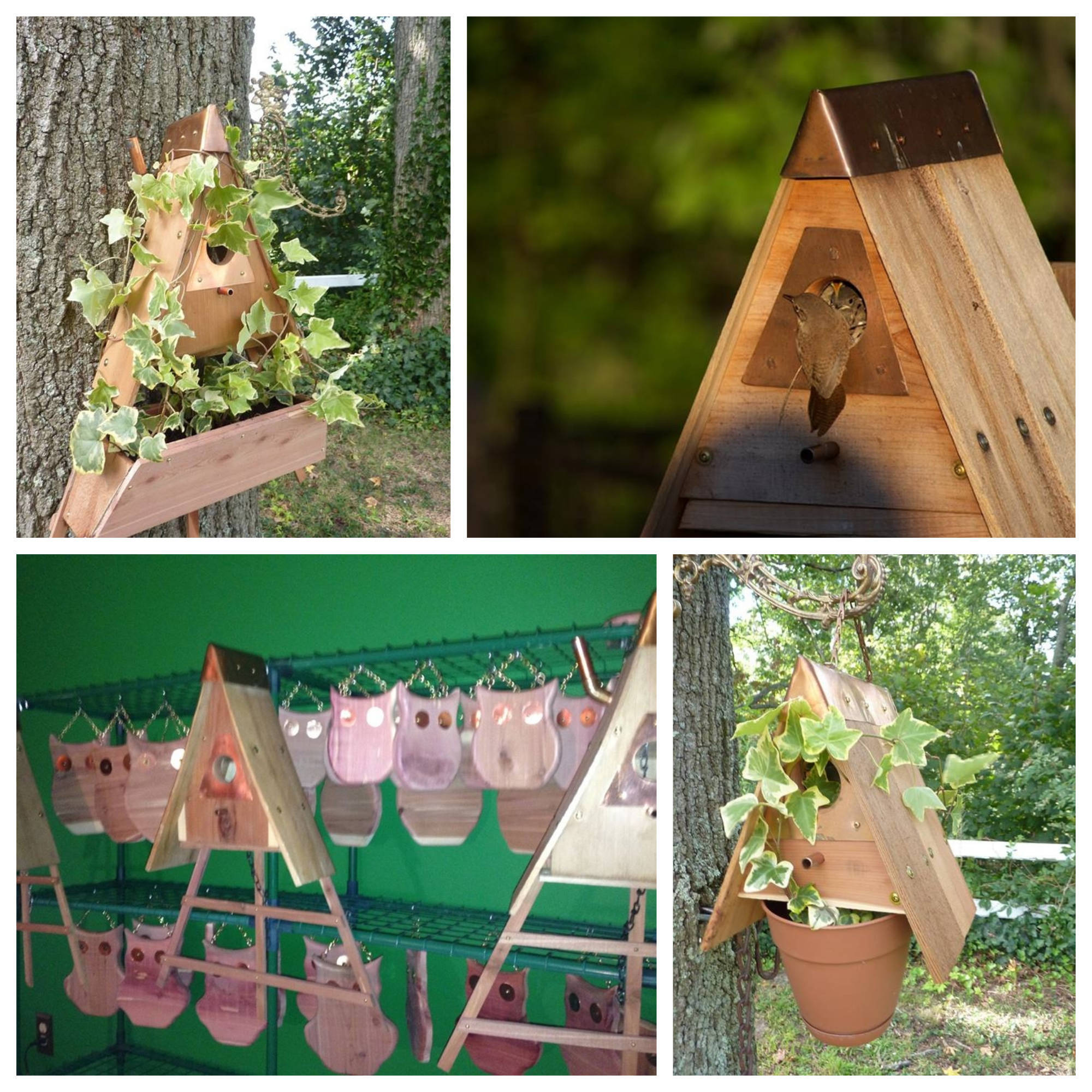 5ad8066915489c327e0e_6-22-18collagewhimsical.jpg