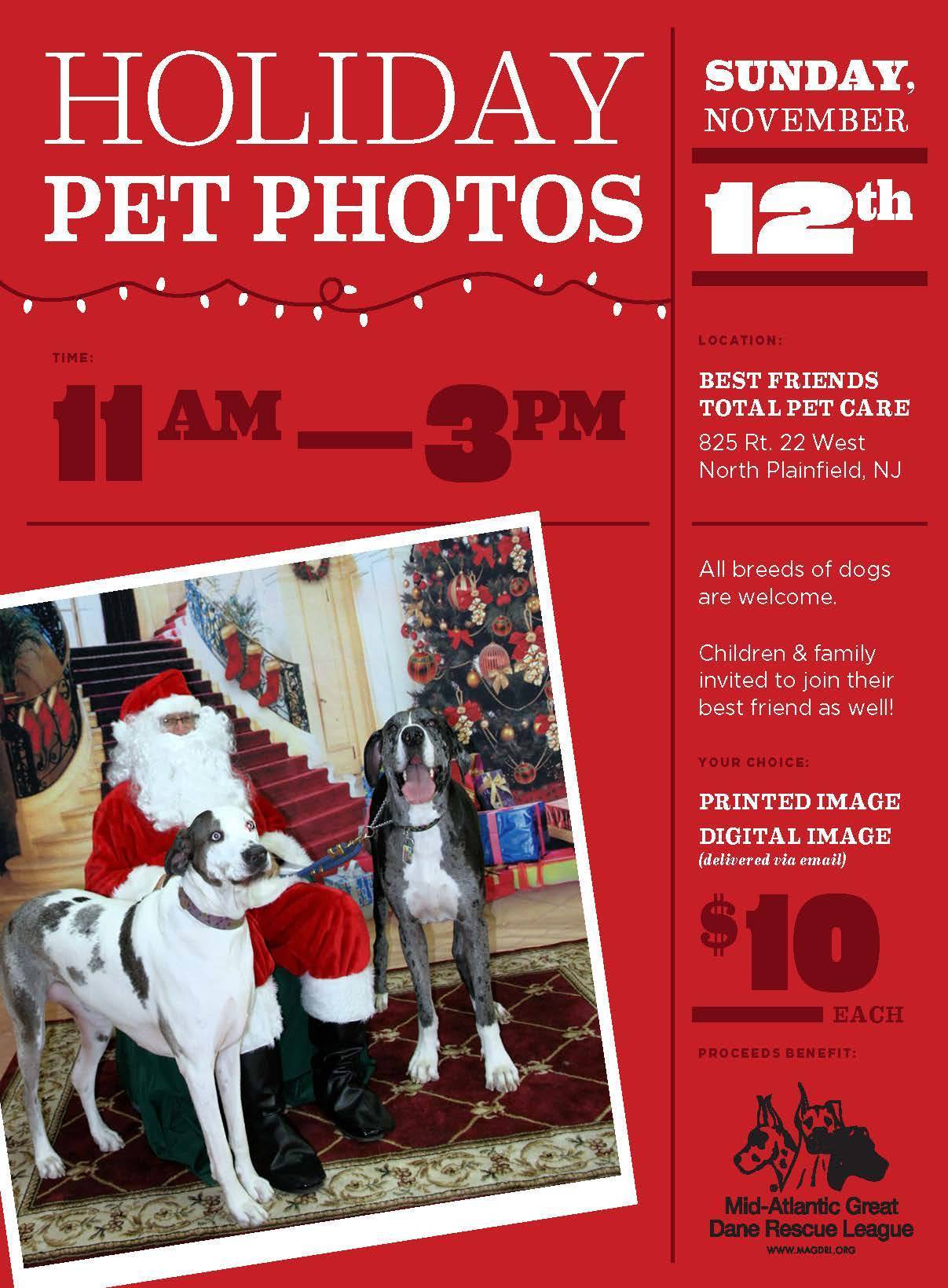 5bb316694843507a8478_MAGDRL_Holiday_Pet_Photos_2017color.jpg