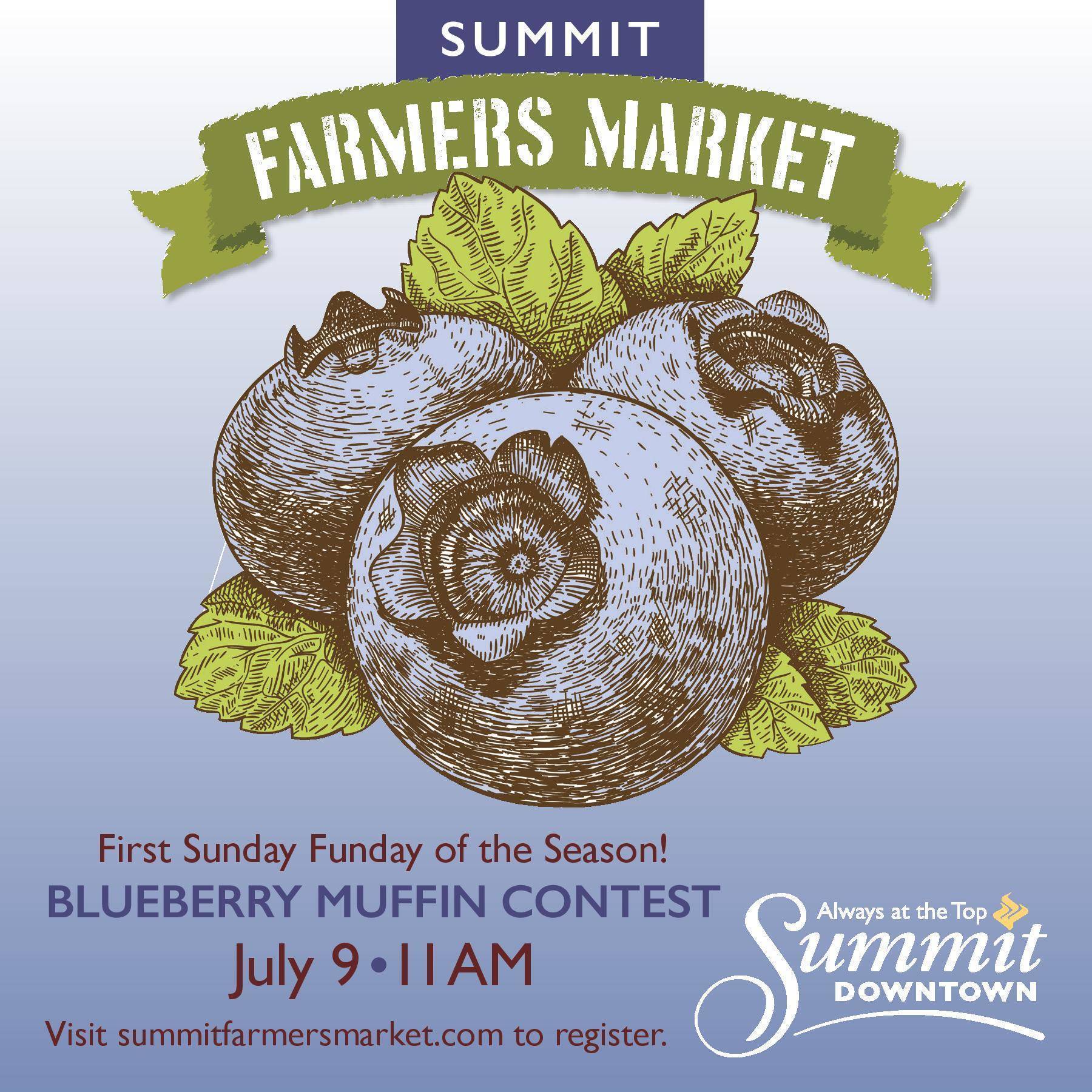 5be1f1e34ec8f532803f_969a6cf5c68bcd2771e6_Summit_FM_blueberry_graphic.jpg