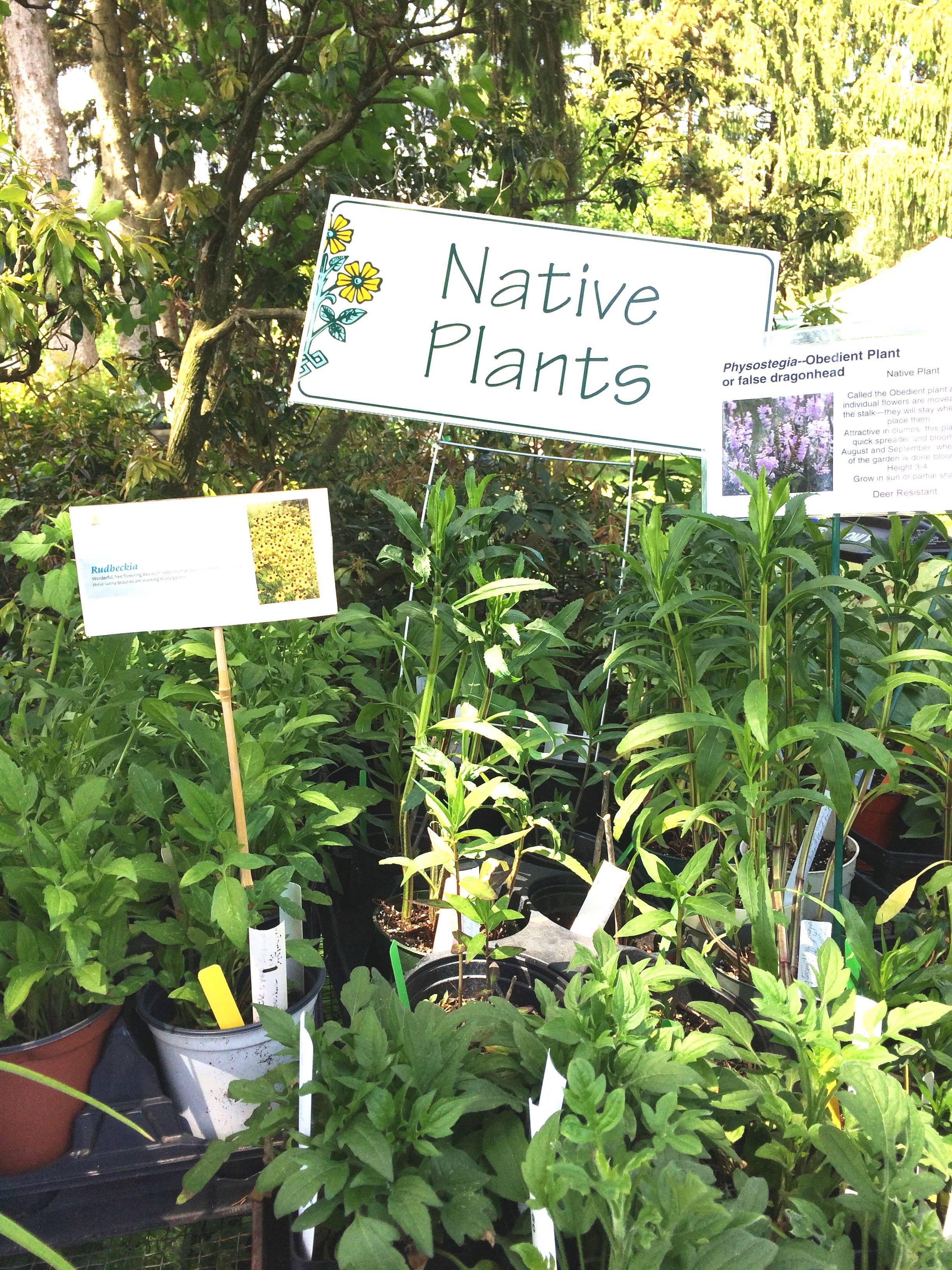 5c6a54c97cc8ec4dc85d_Native_Plants.jpg
