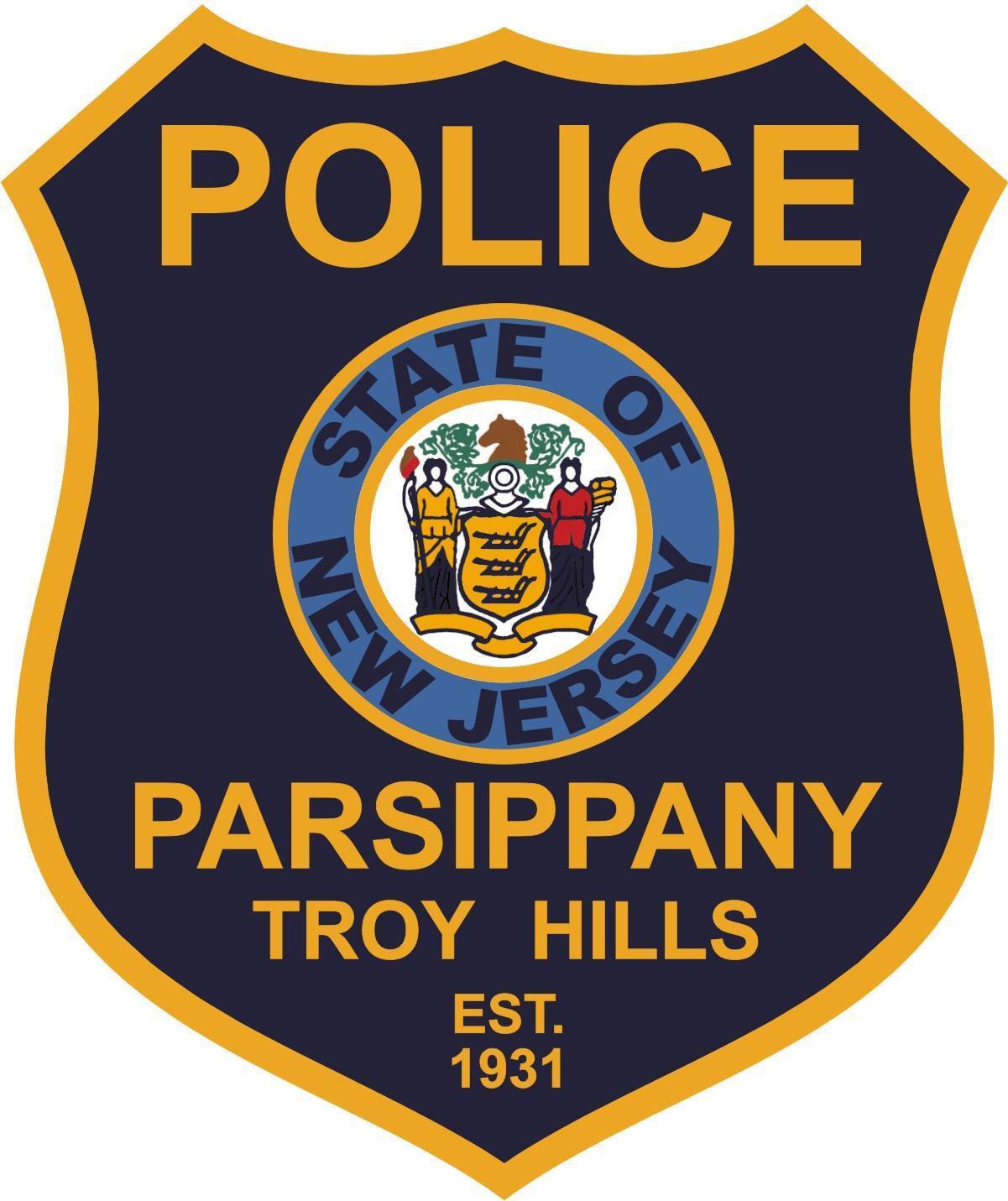 5e66253ce7a910eb7c42_03d06150d6b6c7ca5e1d_Parsippany_Patch.jpg
