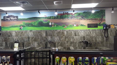 5f64e93f19bd005a44ed_PetValu_Dog_Wash_Mural.jpg