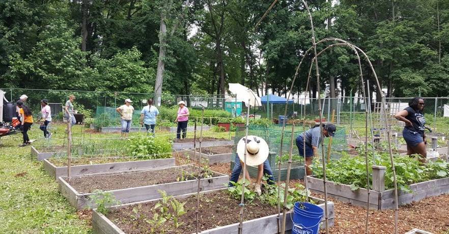 62793bab58c95eb9b182_union_community_garden.jpg