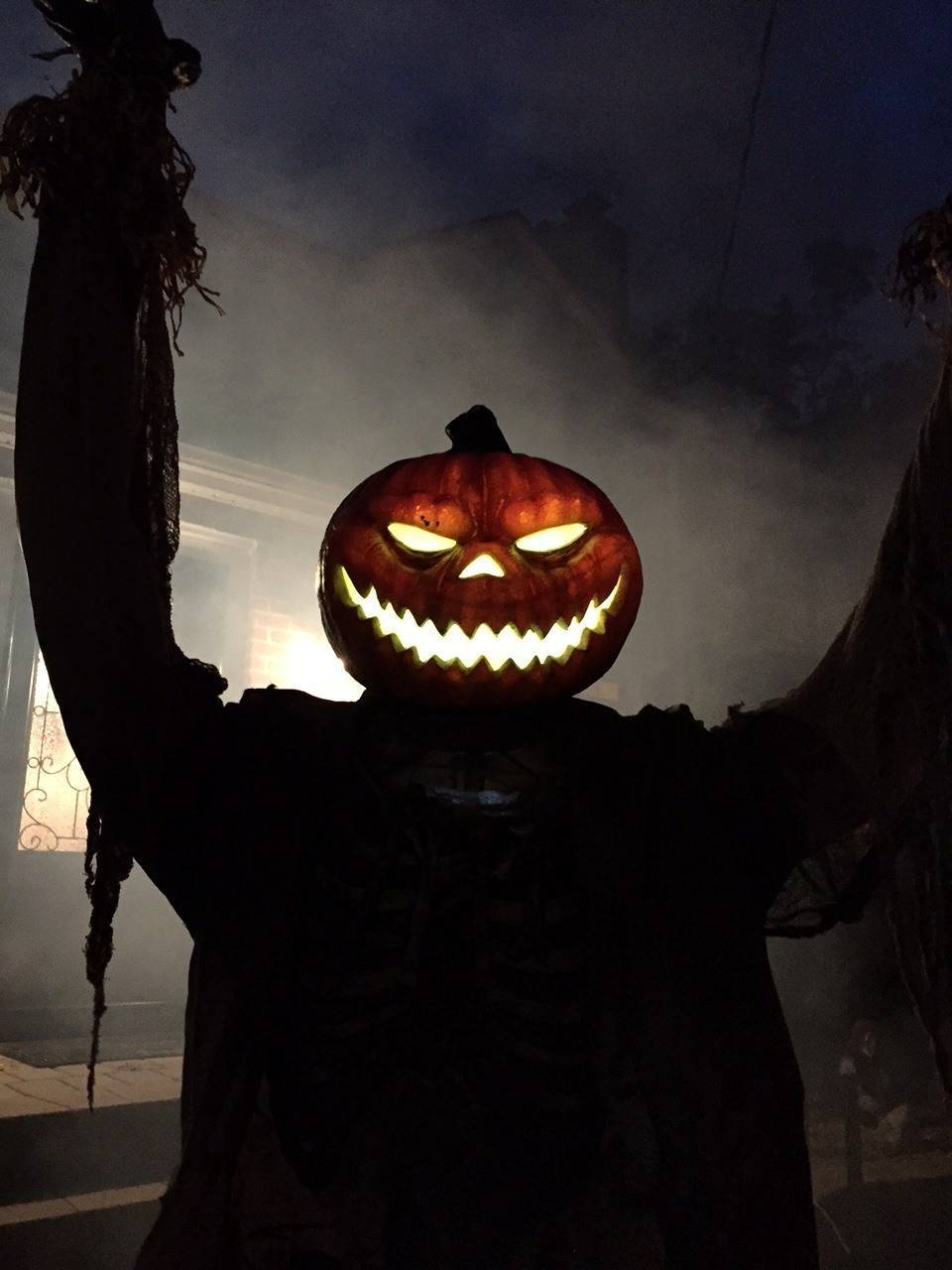 658574253ec3c78fa3e0_Halloween_2015_pumpkin_man.jpg