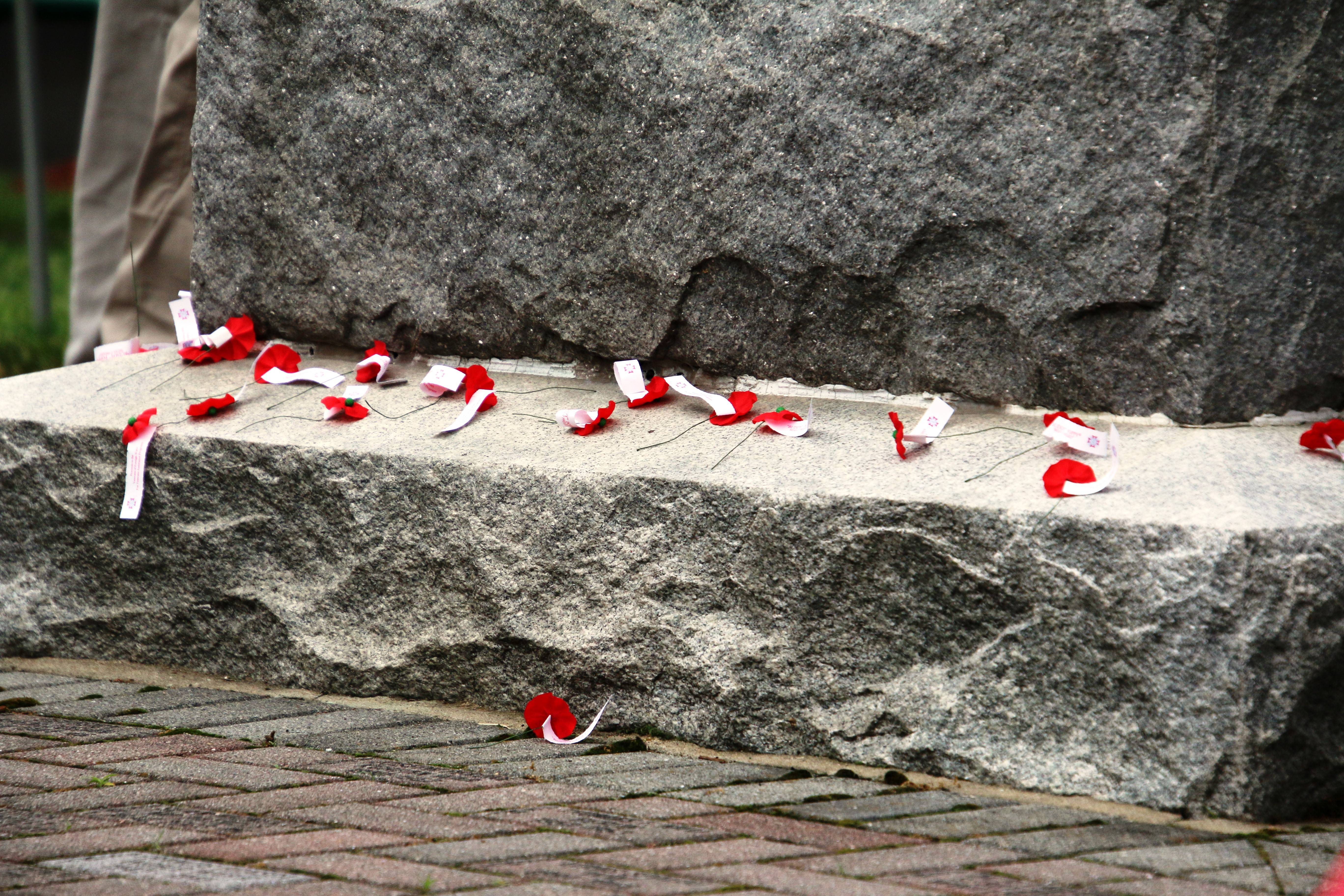 65bb47660fdc4e0782d3_EDIT_poppies.jpg