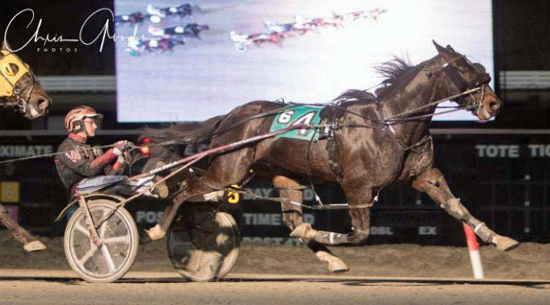 660bd9264864187b5cc8_meadows_racing_2_23_18.jpg