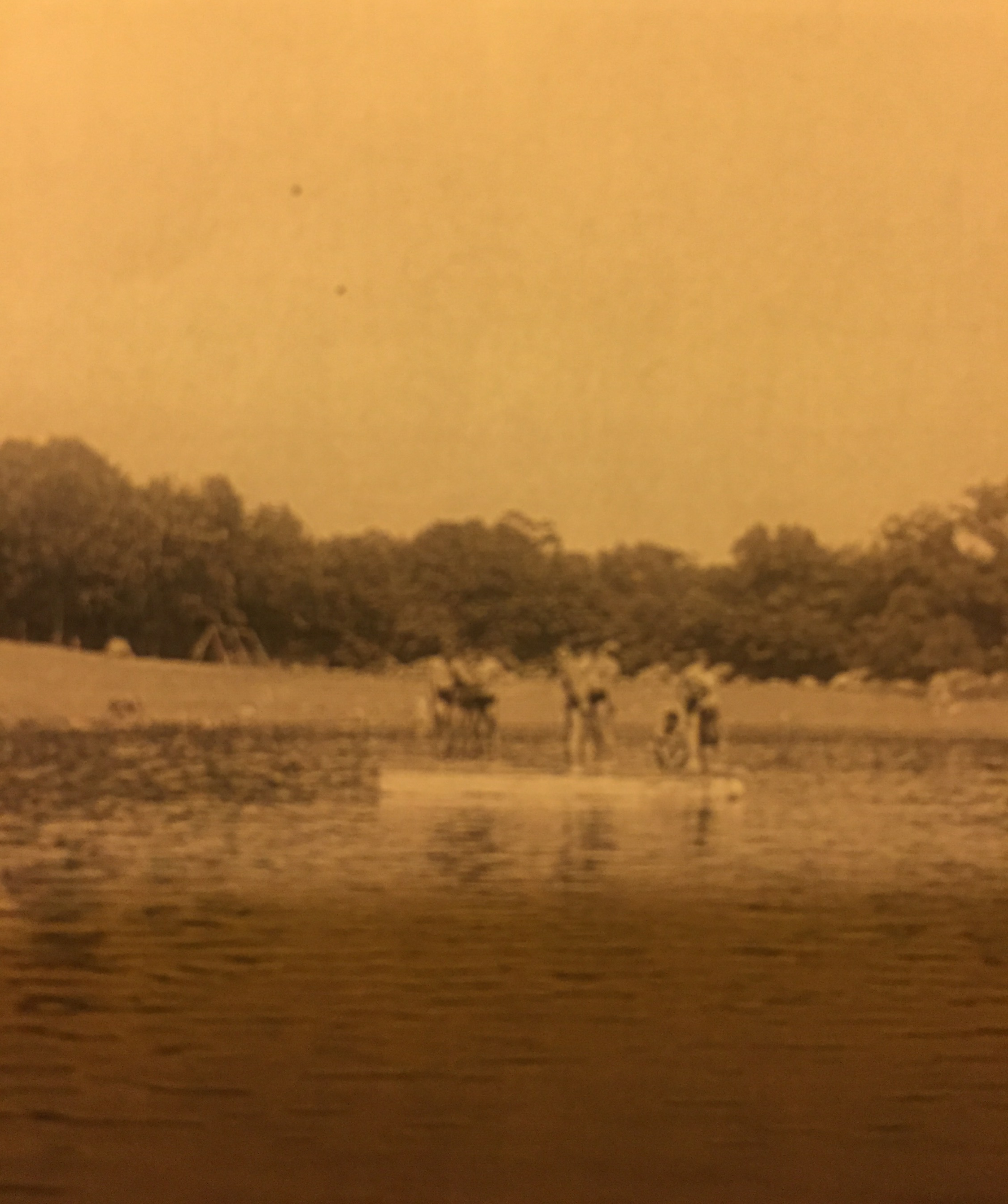 Farmers Of Fairfield A History Of Suzy Lane Tapinto