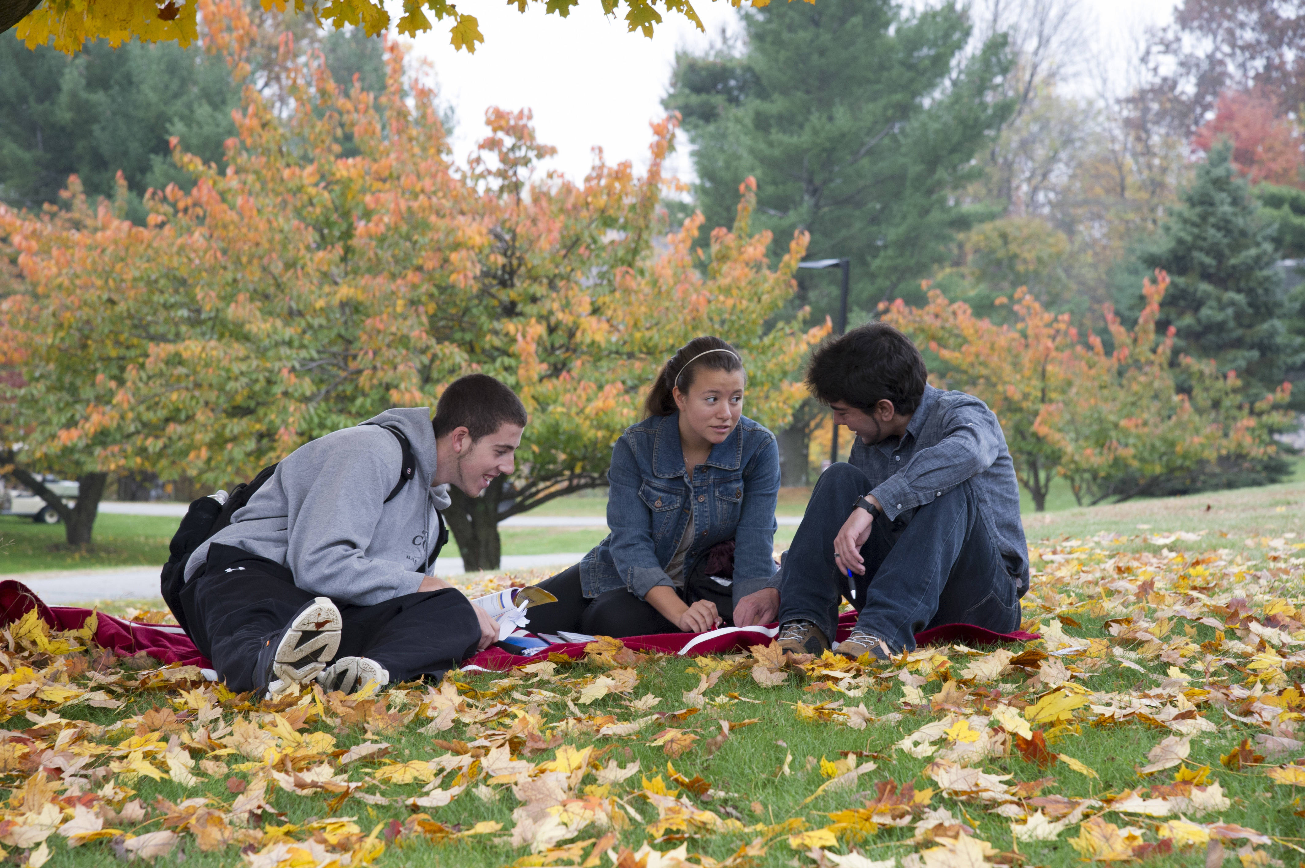 6672fc660acef7494a0a_f8f302eb09068b832737_CCM_Fall_Images.jpg