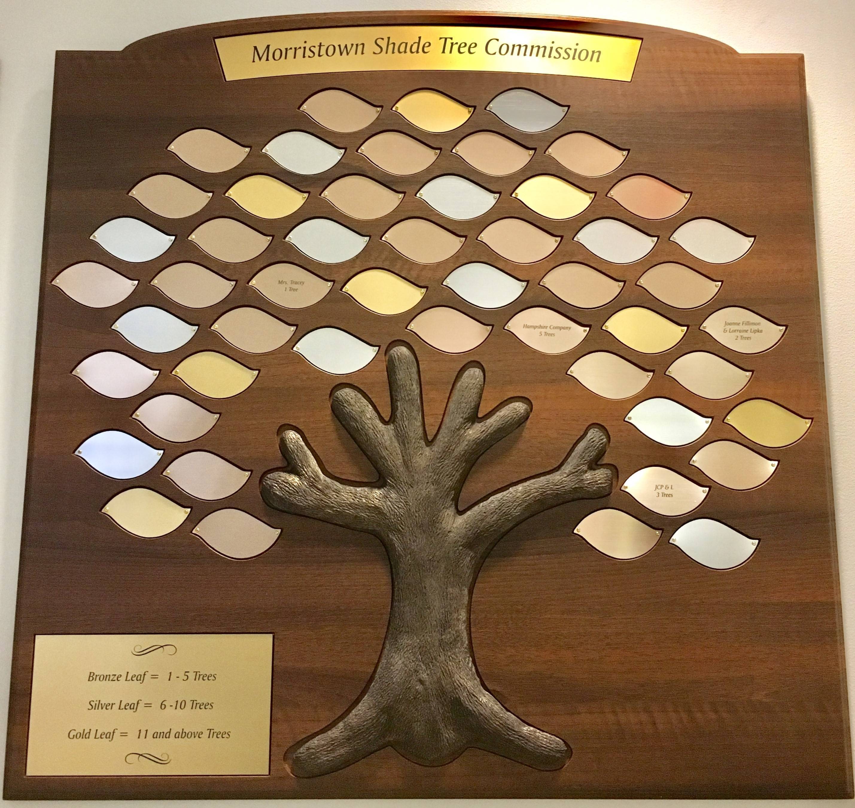 66890579135d199197b9_790cace673d724eac97f_DonorPlaque.jpg