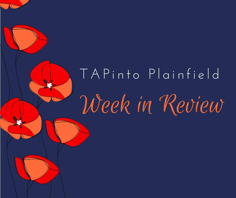 66d4323e84a7ce15cd04_Week_in_Review_poppies.jpg