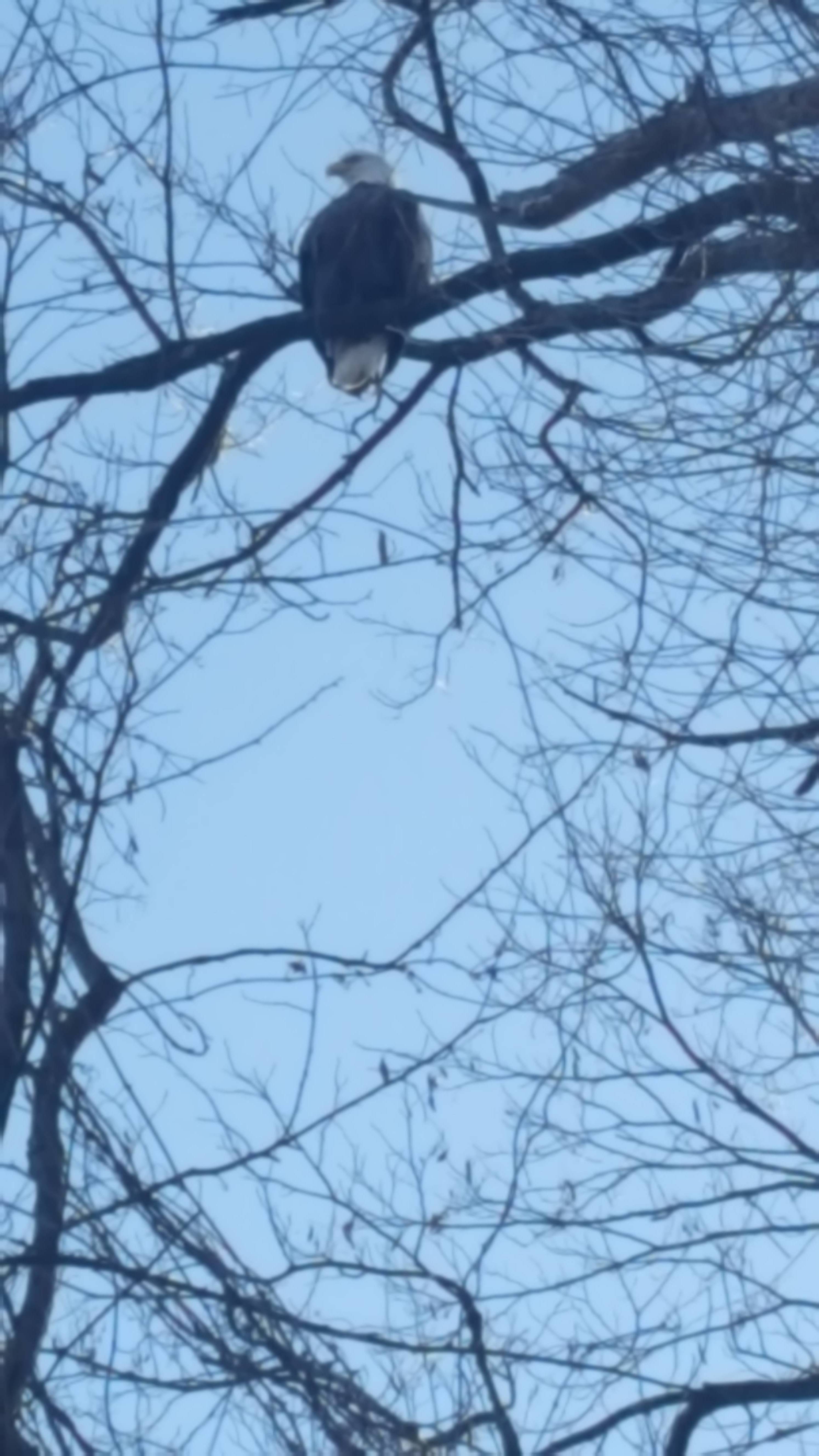 6731d885be1fa41aeb65_67805440d2f915a67053_Eagle_Park_Jan31_2018.jpg