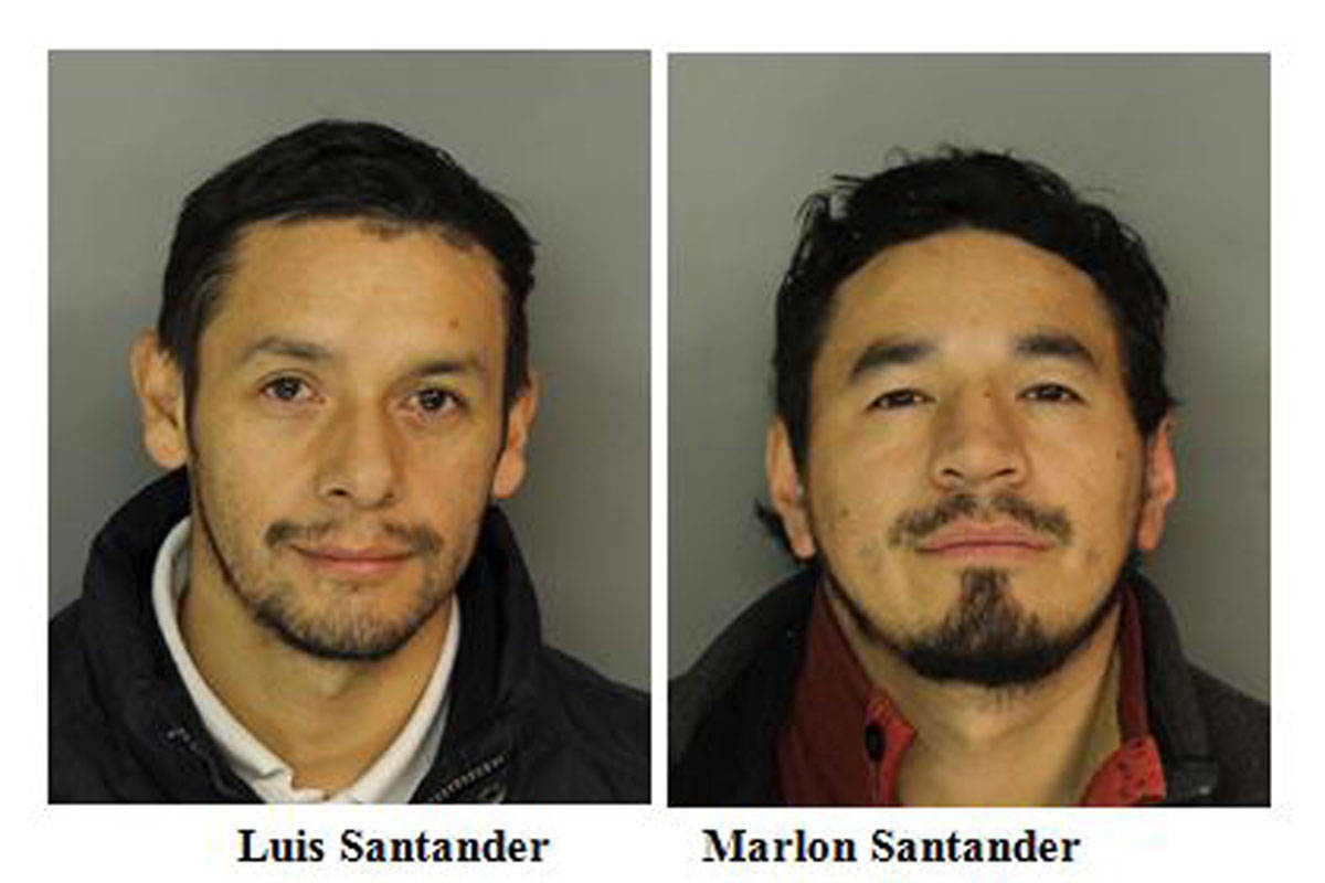 6755118636c2468ada8c_Stander-IllegalDump1200x800.jpg